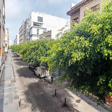 Flatguest Malva Studio Las Palmas Exterior photo
